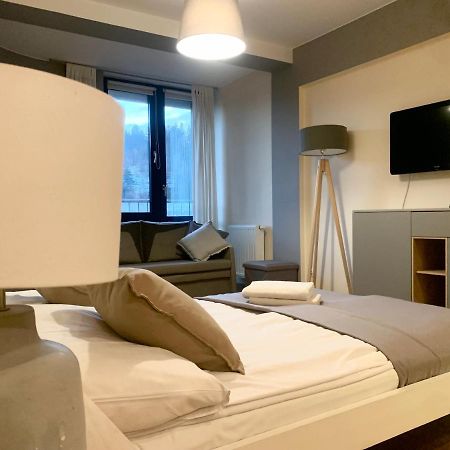 Krynica Apartamenty Apartament Studio Centrum 70 Εξωτερικό φωτογραφία